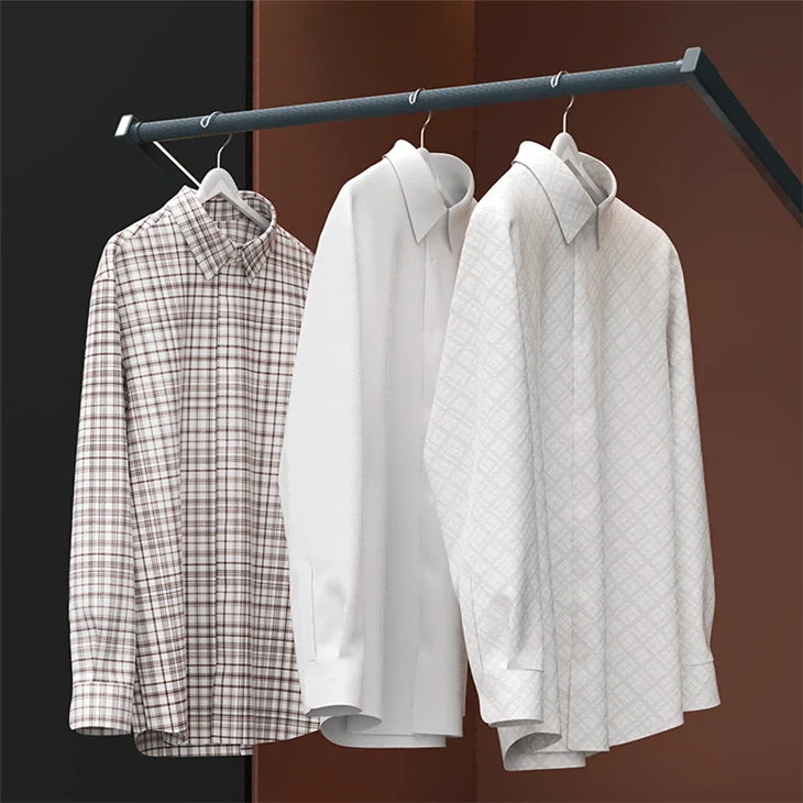 Bedroom Wardrobe Dual Motor Electric Lift Clothes Rod